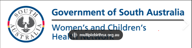Audiologist Logo